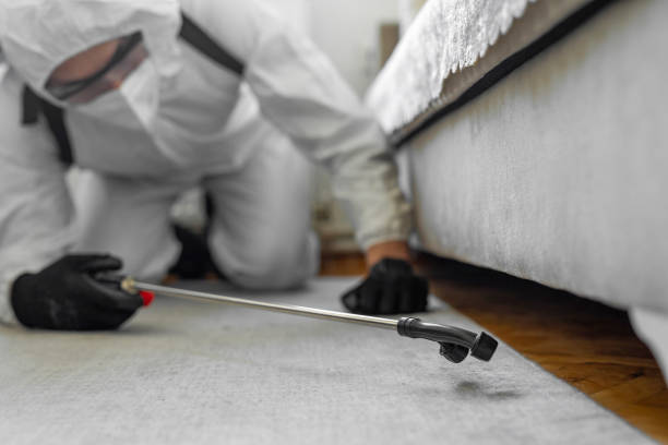 Professional Termite Control technician working in Belmond, IA